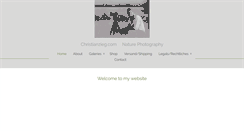 Desktop Screenshot of christianzieg.com